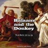 Balaam and the Donkey