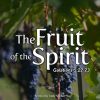 The Fruit of the Spirit (Part 1)