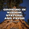 Growing in Wisdom, Stature, and Favor