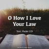 O How I Love Your Law